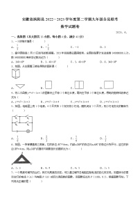 2023年安徽省亳州市涡阳县九年级下学期联考数学试题卷（含答案）