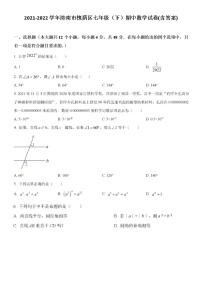 2021-2022学年济南市槐荫区七年级下期中数学试卷(含答案)