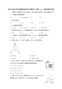 2022-2023学年福建省泉州市石狮市八年级（上）期末数学试卷（含解析）