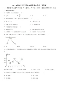 2023.1年济南市章丘区八年级上期末数学（含答案）