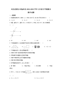 河北省邢台市临西县2021-2022学年七年级下学期期末教学质量评估数学试卷（答案不全）