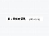 第6章 一元一次方程 综合训练 华师版数学七年级下册上课课件)
