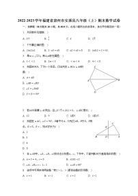 2022-2023学年福建省泉州市安溪县八年级（上）期末数学试卷（含解析）