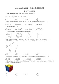 2023年安徽省合肥市第四十二中学九年级下学期中考模拟测试数学试卷（含答案）