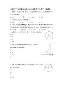 2023年广东省雷州市三校九年级下学期第一次模拟联考数学试题（含答案）