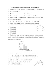 2023年浙江省宁波市中考数学甬真试卷（潮卷）（含答案）