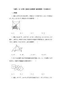 专题1.29 全等三角形几何模型-旋转模型（专项练习）-八年级数学上册基础知识专项讲练（苏科版）