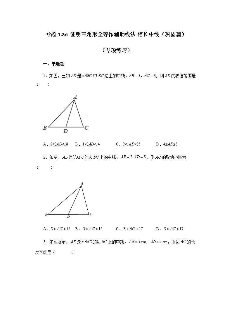 专题1.36 证明三角形全等作辅助线法-倍长中线（巩固篇）（专项练习）-八年级数学上册基础知识专项讲练（苏科版）01
