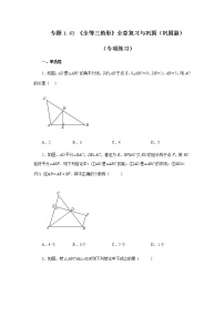 专题1.43 《全等三角形》全章复习与巩固（巩固篇）（专项练习）-八年级数学上册基础知识专项讲练（苏科版）