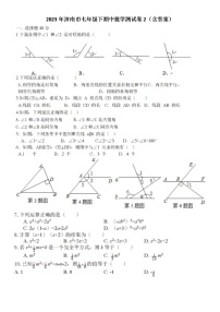 2023年济南市七年级下期中数学测试卷2（含答案）