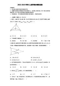 云南省昭通市2022-2023学年数学八上期末达标检测试题含解析