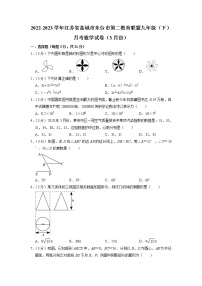 江苏省盐城市东台市第二教育联盟2022-2023学年下学期3月份月考九年级数学试卷