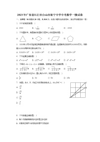 2023年广东省江门市台山市新宁中学中考数学一模试卷（含解析）