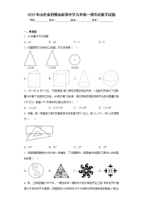 2023年山东省日照市新营中学九年级一模考试数学试题（含答案）