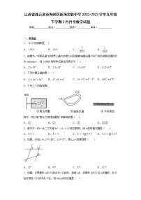 江苏省连云港市海州区新海实验中学2022-2023学年九年级下学期3月月考数学试题