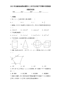 2023年安徽省合肥市第四十二中学九年级下学期中考模拟测试数学试卷