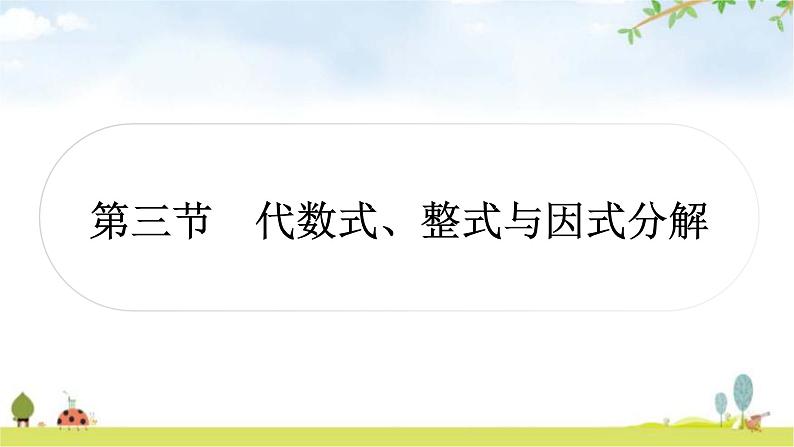 中考数学复习第一章数与式第三节代数式、整式与因式分解教学课件01