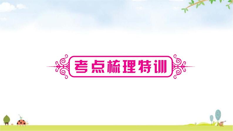 中考数学复习第一章数与式第三节代数式、整式与因式分解教学课件02