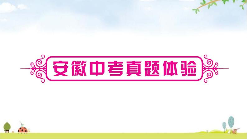 中考数学复习第二章方程(组)与不等式(组)第一节一次方程(组)及其应用教学课件07