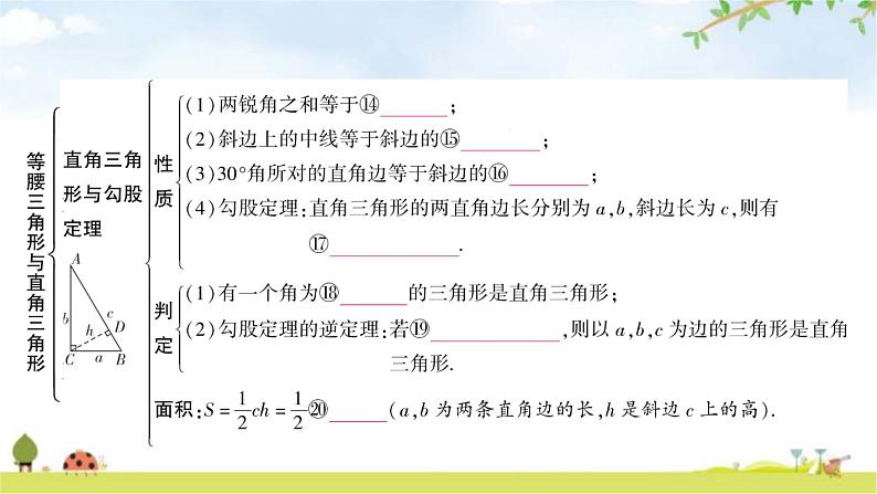 中考数学复习第四章三角形第三节等腰三角形与直角三角形教学课件第5页