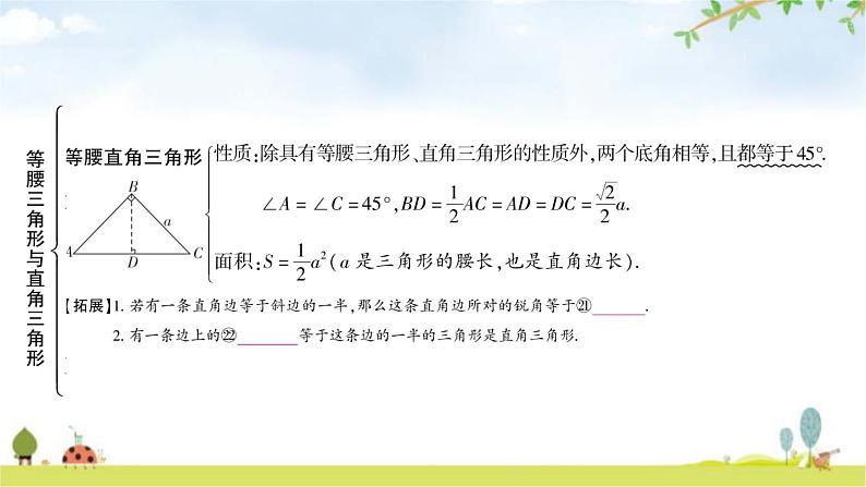 中考数学复习第四章三角形第三节等腰三角形与直角三角形教学课件第6页