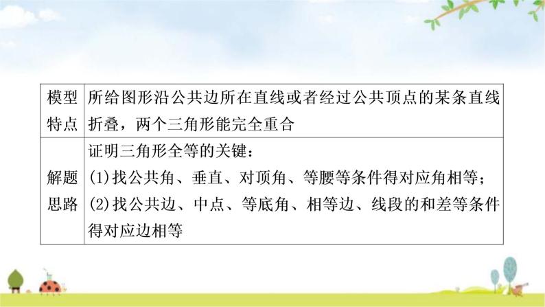 中考数学复习方法技巧突破(四) 全等三角形之六大模型教学课件06