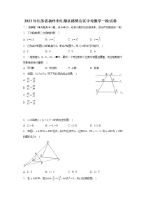 2023年江苏省扬州市江都区邵樊片区中考数学一检试卷（含解析）