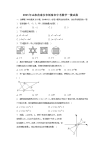 2023年山东省泰安市新泰市中考数学一模试卷（含解析）