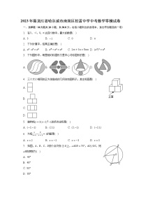 2023年黑龙江省哈尔滨市南岗区松雷中学中考数学零模试卷（含解析）