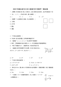 2023年湖北省天门市八校联考中考数学一模试卷（含答案）