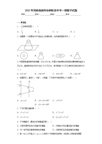 2023年河南省南阳市桐柏县中考一模数学试题（含答案）