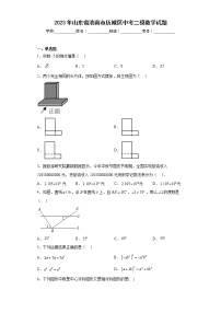 2023年山东省济南市历城区中考二模数学试题（含答案）