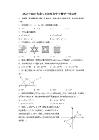 2023年山东省泰安市新泰市中考数学一模试卷+