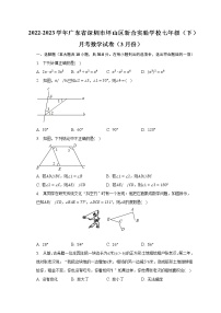 2022-2023学年广东省深圳市坪山区新合实验学校七年级（下）月考数学试卷（3月份）（含解析）