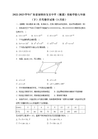 2022-2023学年广东省深圳市宝安中学（集团）实验学校七年级（下）月考数学试卷（3月份）（含解析）