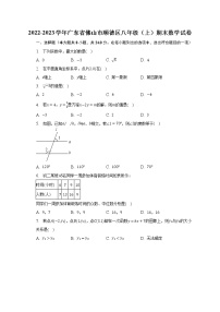 2022-2023学年广东省佛山市顺德区八年级（上）期末数学试卷（含解析）