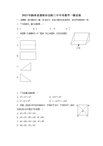 2023年陕西省渭南市合阳县第三初级中学中考数学一模试卷（含答案）