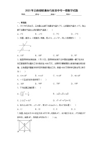 2023年云南省昭通市巧家县中考一模数学试题（含答案）