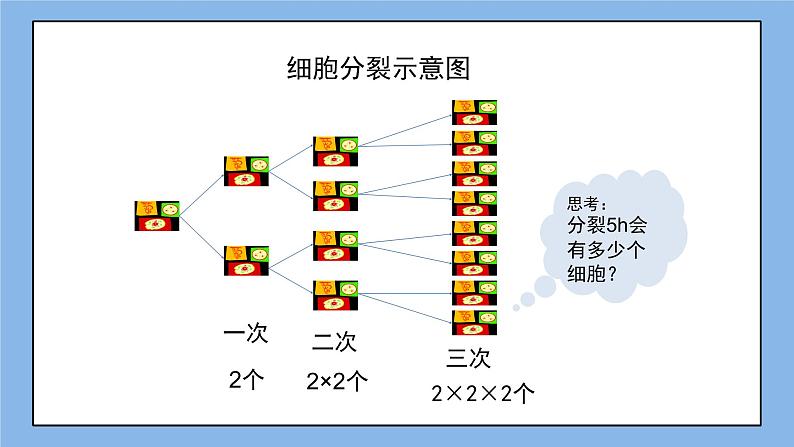鲁教版五四制数学六上《有理数的乘方》第一课时课件+教案04
