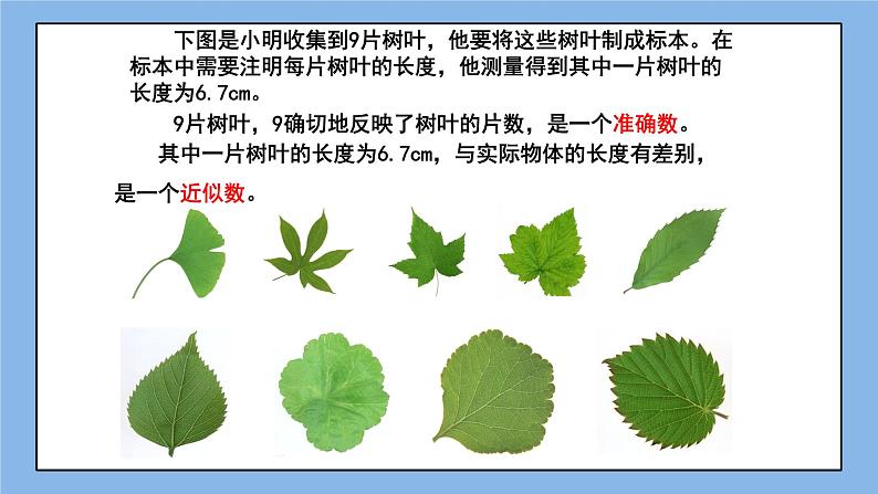 鲁教版五四制数学六上《近似数》课件1+教案02