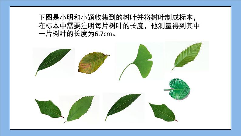 鲁教版五四制数学六上《近似数》课件2+教案03