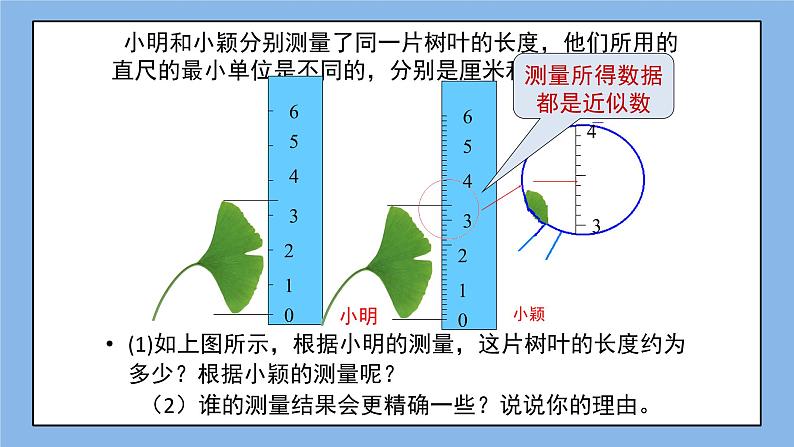 鲁教版五四制数学六上《近似数》课件2+教案04