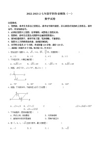 湖南省长沙市（长培，郡维，湘郡未来联考）2022-2023学年七年级下学期第一次月考数学试题(含答案)