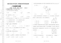 山东省德州市宁津县田庄中学2022-2023学年八年级下学期第一次素养检测数学试题(含答案)