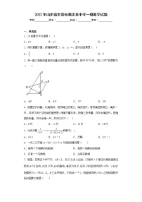 2023年山东省东营市利津县中考一模数学试题（含答案）