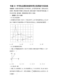 专题30 中考热点图形的旋转填空选择题专项训练-2023年中考数学二轮专题提升训练