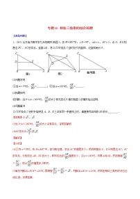 2023年中考数学二轮复习重难点专项突破专题10 相似三角形的综合问题(教师版)