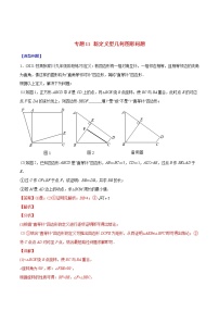 2023年中考数学二轮复习重难点专项突破专题11 新定义型几何图形问题(教师版)