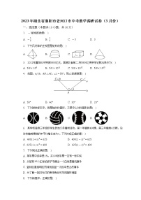 2023年湖北省襄阳市老河口市中考数学调研试卷（3月份）（含解析）