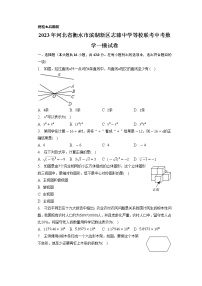 2023年河北省衡水市滨湖新区志臻中学等校联考中考数学一模试卷